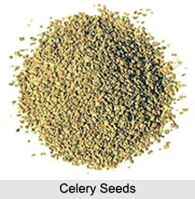 Celery Seed, Indian Spice