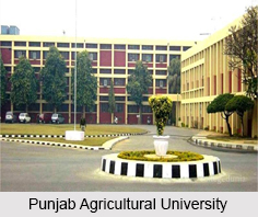 Punjab Agricultural University, Ludhiana
