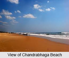 Chandrabhaga Beach, Odisha, Beaches of India