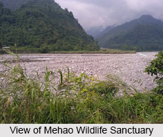 Mehao Wildlife Sanctuary, Arunachal Pradesh