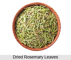 Rosemary Leaves, Indian Spice