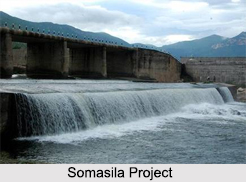 Somasila Dam, Andhra Pradesh