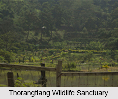 Wildlife Sanctuaries of Mizoram