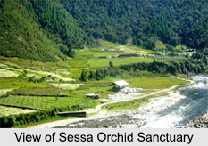 Sessa Orchid Sanctuary, Arunachal Pradesh