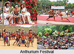 Anthurium Festival, Mizoram