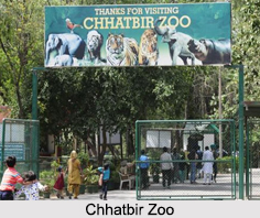 Chhatbir Zoo, Chandigarh