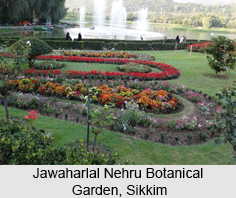 Jawaharlal Nehru Botanical Garden, Rumtek, Sikkim