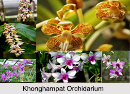 Khonghampat Orchidarium, Manipur