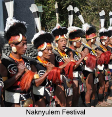 Naknyulem Festival, Nagaland
