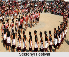 Sekrenyi Festival, Nagaland