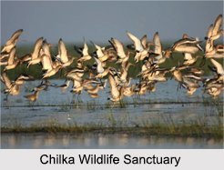 Wildlife Sanctuaries of Odisha