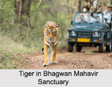 Bhagwan Mahavir Sanctuary, Molem, Goa