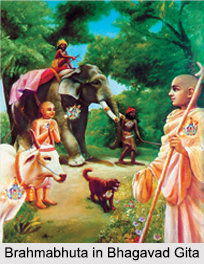 Brahmabhuta, Supreme spirit