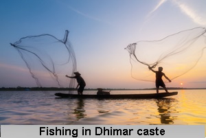 Dhimar Caste
