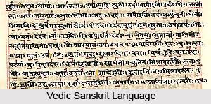 Indian Language Families