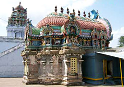 Pennaagadam Sudarkozhuntheesar or Tunngaanai Maadam Temple 