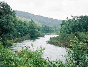 Tunga River