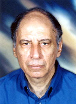 Keki.N.Daruwalla, Indian Writer