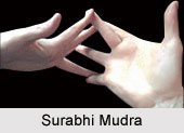 Surabhi Mudra