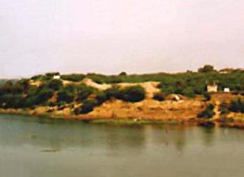 godavari river