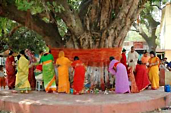Vat Savitri Amavasya festival in Bageshwar District