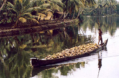 Muhamma, Alappuzha, Kerala