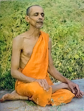 Swami Chidananda Saraswati