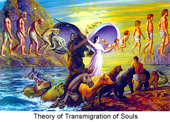 Origin of Theory of Transmigration of Souls