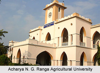 Acharya N. G. Ranga Agricultural University, Hyderabad, Andhra Pradesh