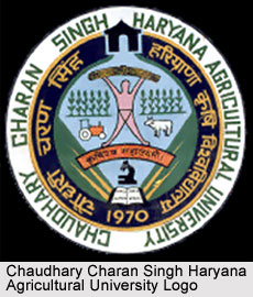 Chaudhary Charan Singh , Haryana