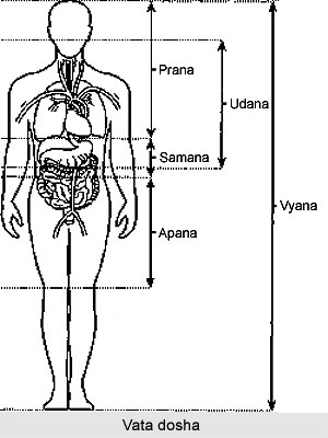 Types of Vata Dosha