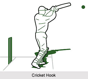 Cricket Hook