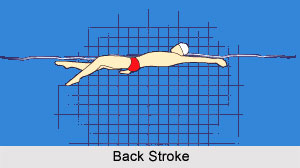 Types of Strokes in Swimming