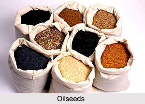 Oilseeds, Indian Food Crop