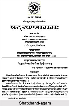 Digambara Jain Literature