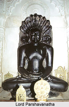 Parsvanatha Digamber Jain Teerth, Pateria, Madhya Pradesh