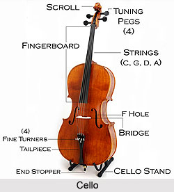 Cello, String Instrument