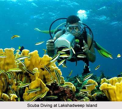 Scuba Diving at Lakshadweep Island