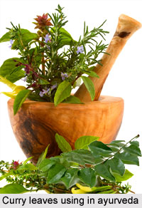 Uses of Curry Leaves in Ayurveda