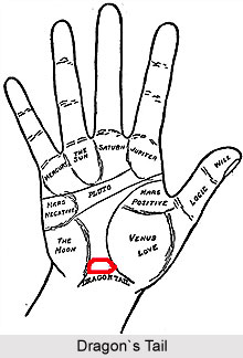 Mount of Dragon's Tail, Palmistry