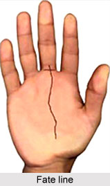 Position of Fate line, Palmistry