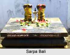 Festivals of Vazhappully Shree Rajarajeshwari Temple