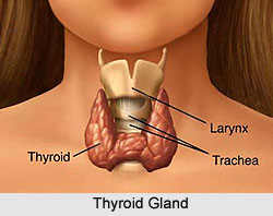 Treatment of Thyroid