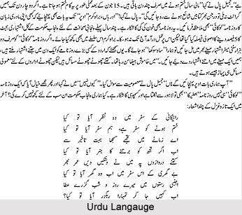 Urdu Language
