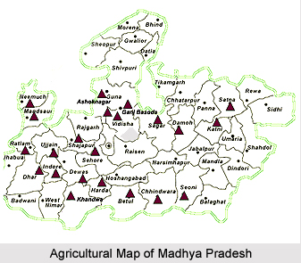 Crops of Madhya Pradesh