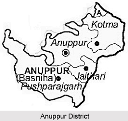 Anuppur District, Madhya Pradesh