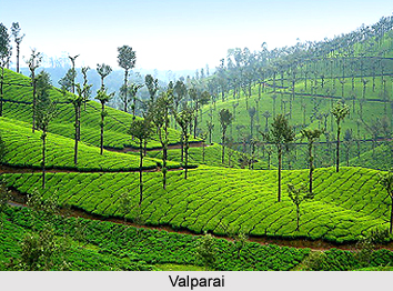 Valparai, Tamil Nadu