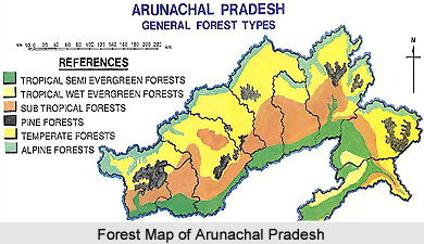 Forests of Arunachal Pradesh