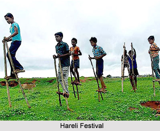 Hareli Festival, Chhattisgarh