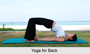 Yoga for Spinal Cord Problems, Yoga and Health